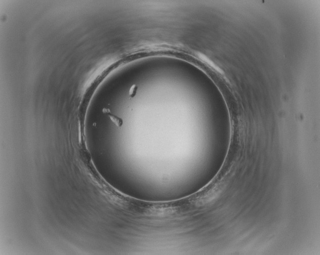 X0000076301269200609291026