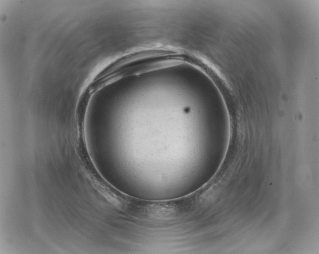 X0000076301270200609291026