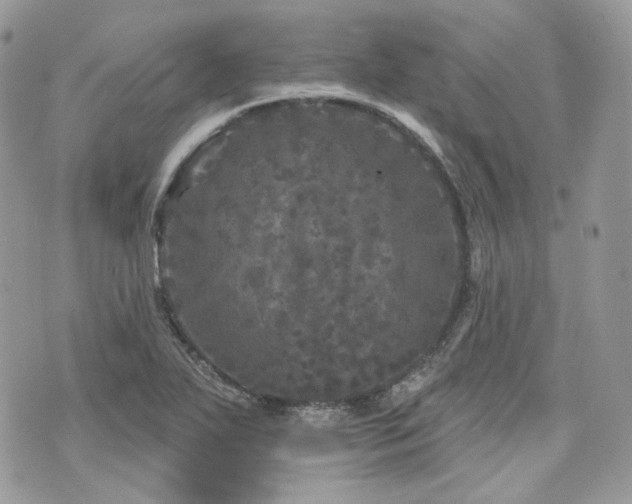 X0000076301271200609291026