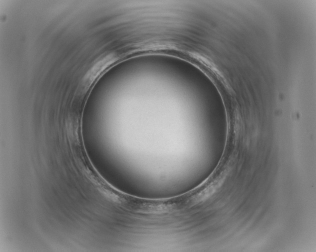 X0000076301273200609291026