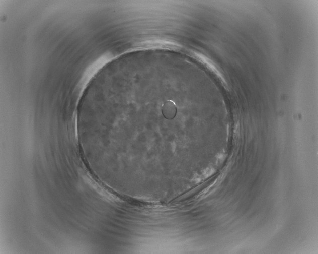 X0000076301275200609291026