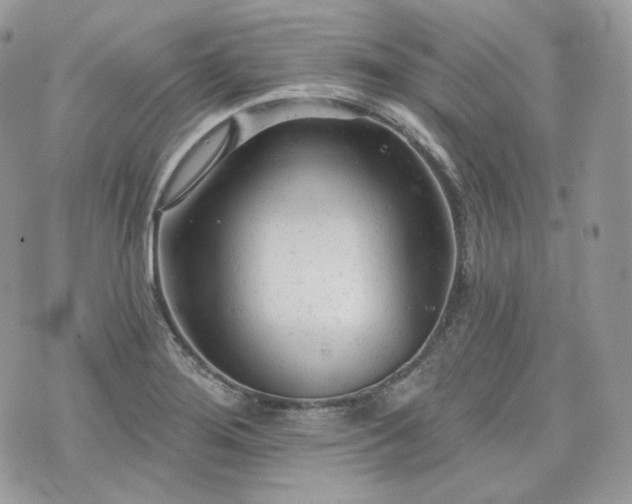 X0000076301276200609291026