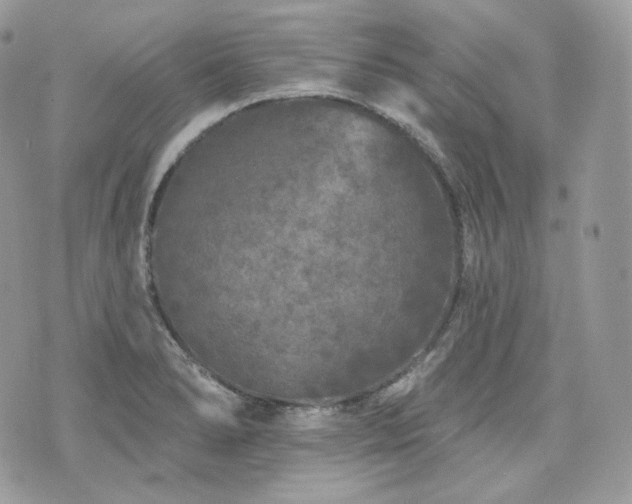 X0000076301278200609291026