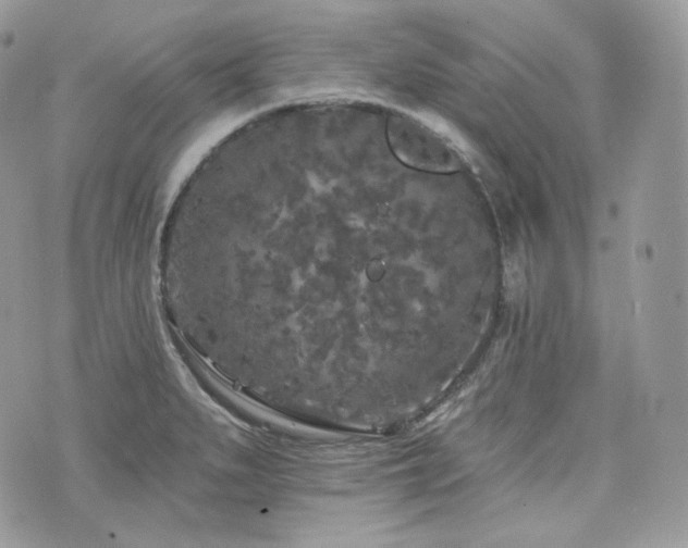 X0000076301279200609291026