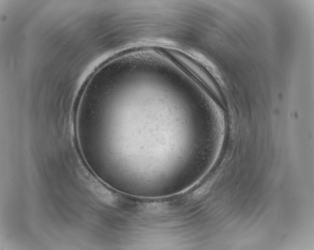 X0000076301280200609291026