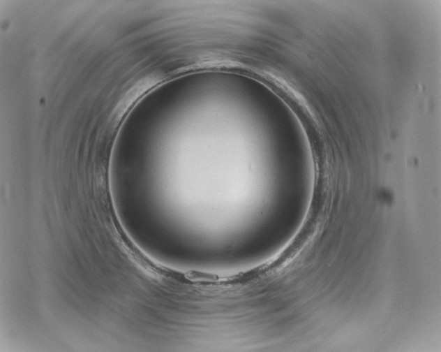 X0000076301281200609291026