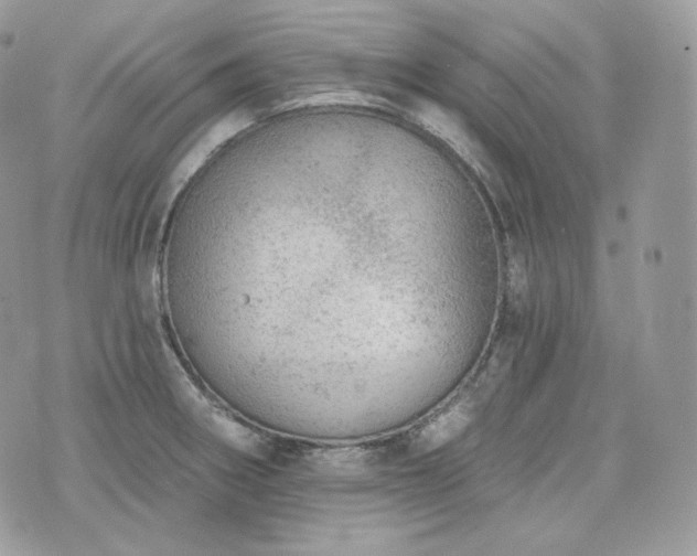 X0000076301282200609291026