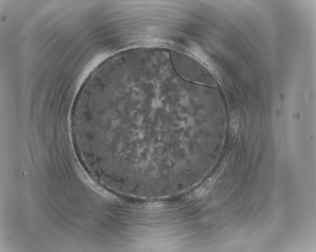 X0000076301283200609291026