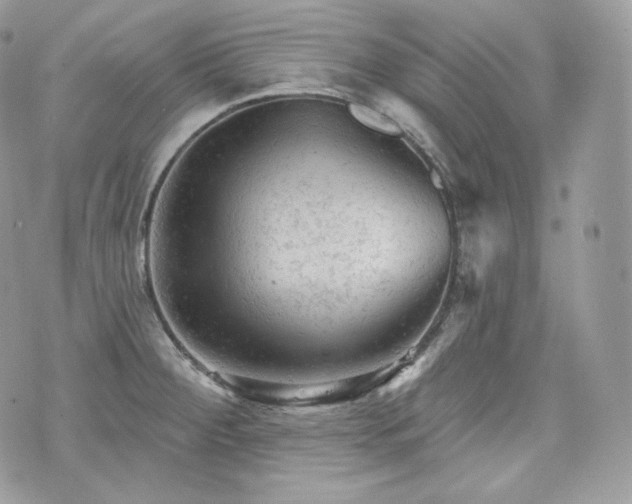 X0000076301284200609291026