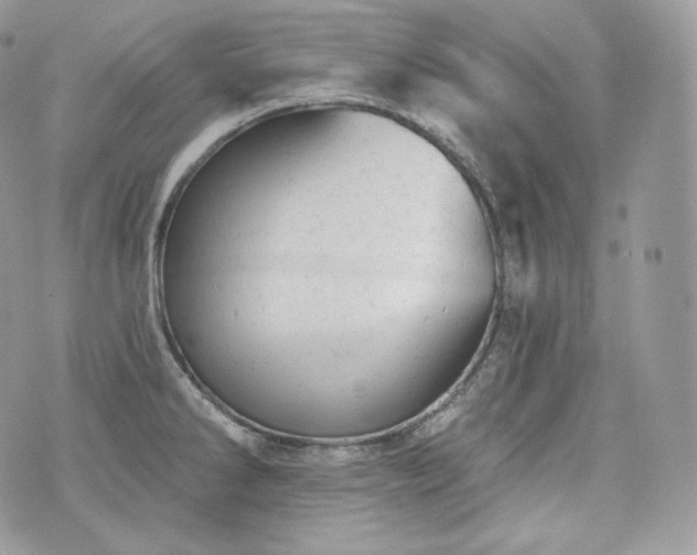 X0000076301286200609291026