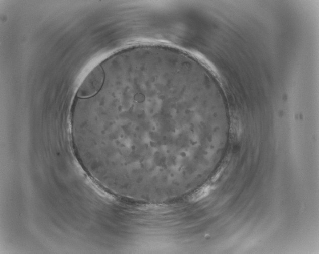 X0000076301287200609291026