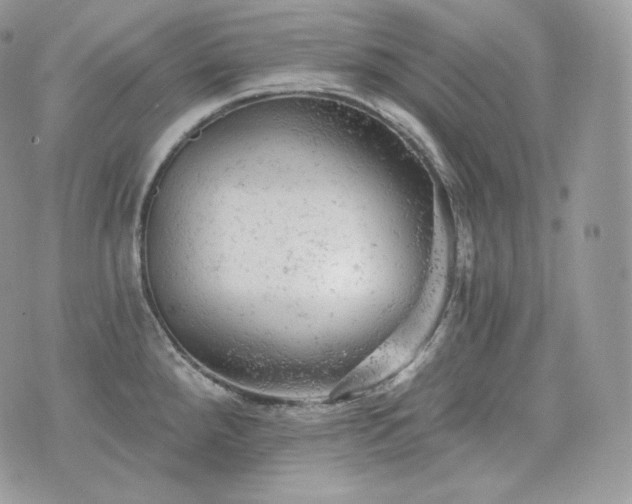 X0000076301288200609291026