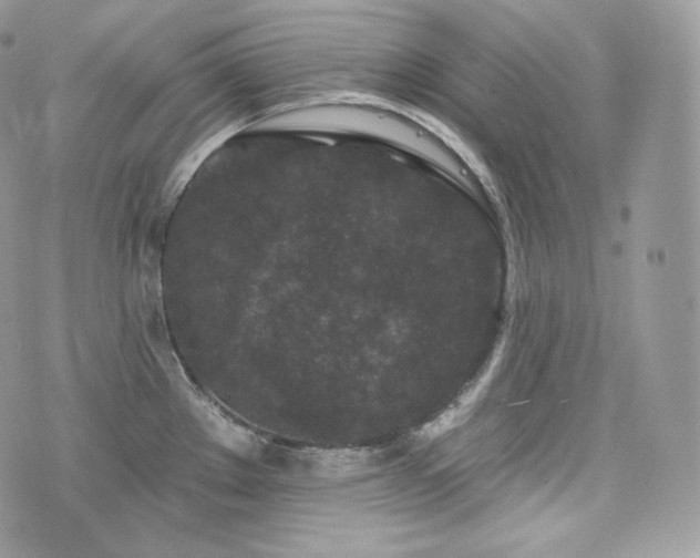 X0000076301289200609291026