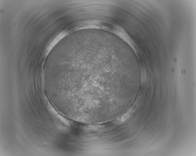 X0000076301290200609291026