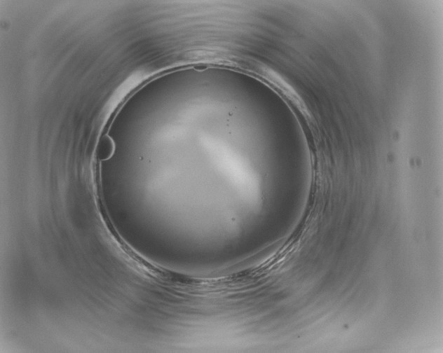 X0000076301291200609291026