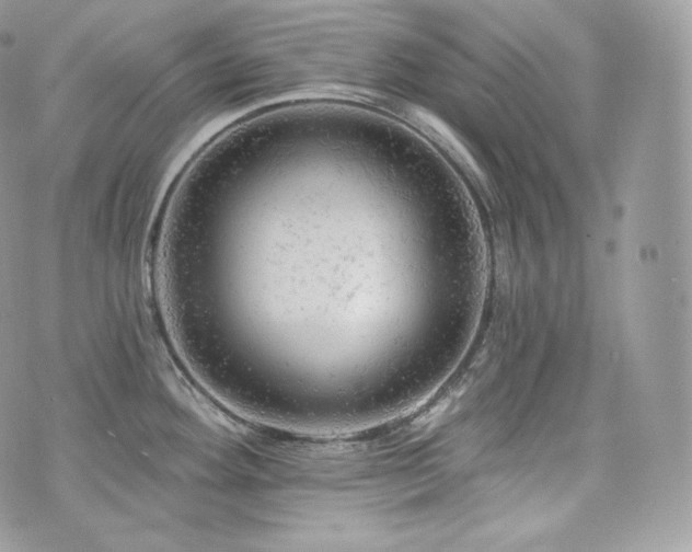 X0000076301292200609291026