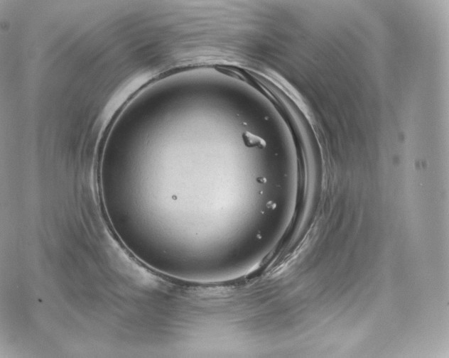 X0000076301293200609291026