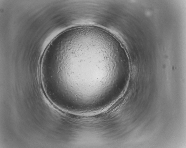 X0000076301295200609291026