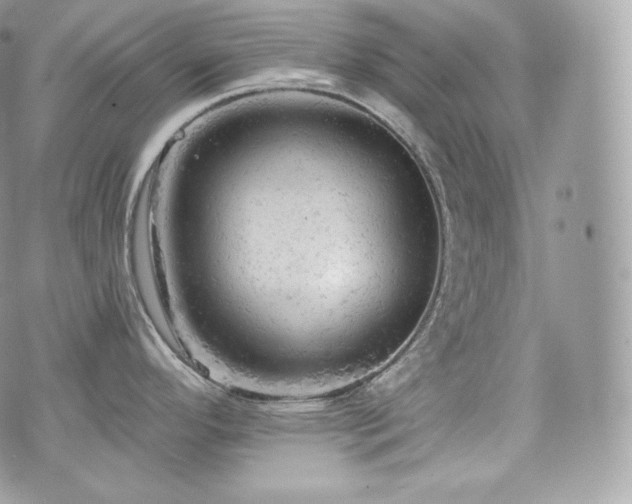 X0000076301296200609291026