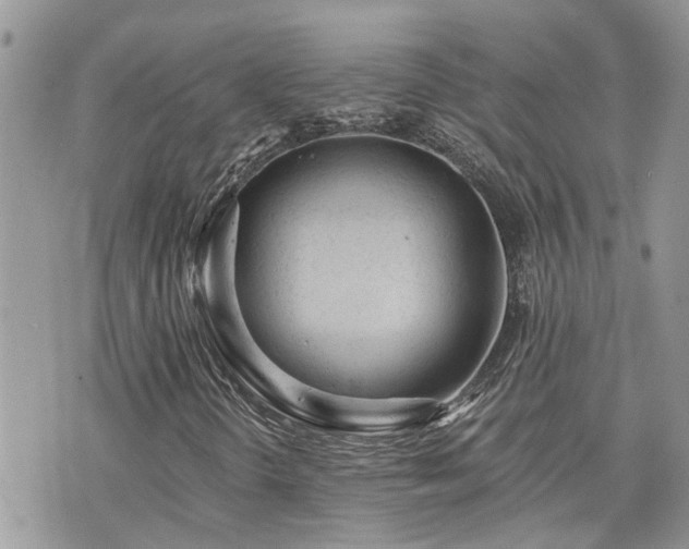 X0000076301298200609291025