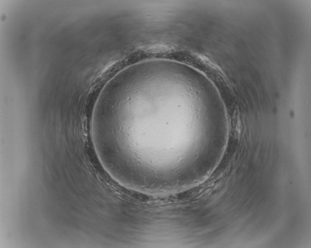 X0000076301301200609291025