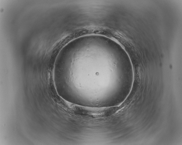 X0000076301302200609291025