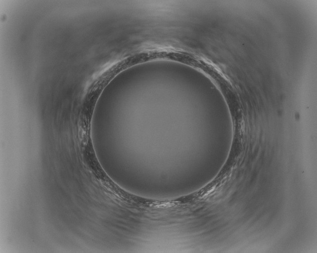 X0000076301303200609291025