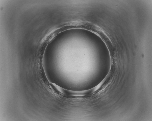 X0000076301304200609291025