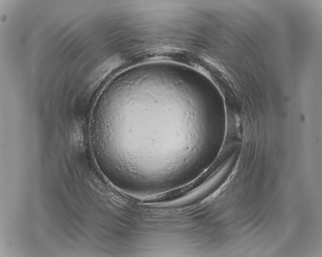 X0000076301305200609291025