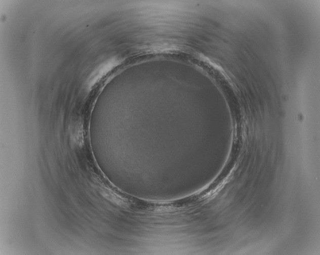 X0000076301306200609291025