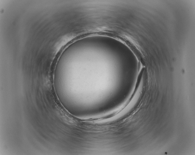 X0000076301308200609291025