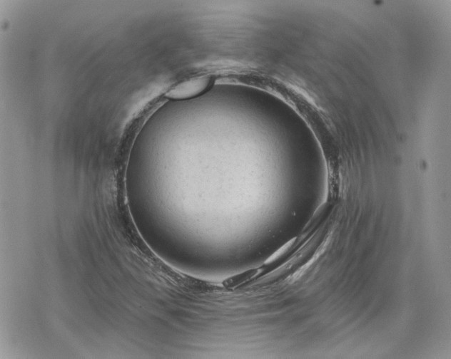 X0000076301309200609291025