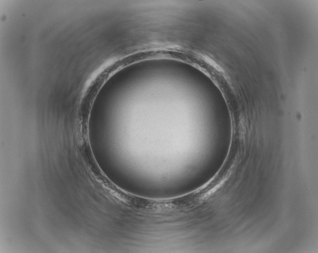 X0000076301310200609291025