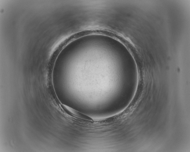 X0000076301311200609291025