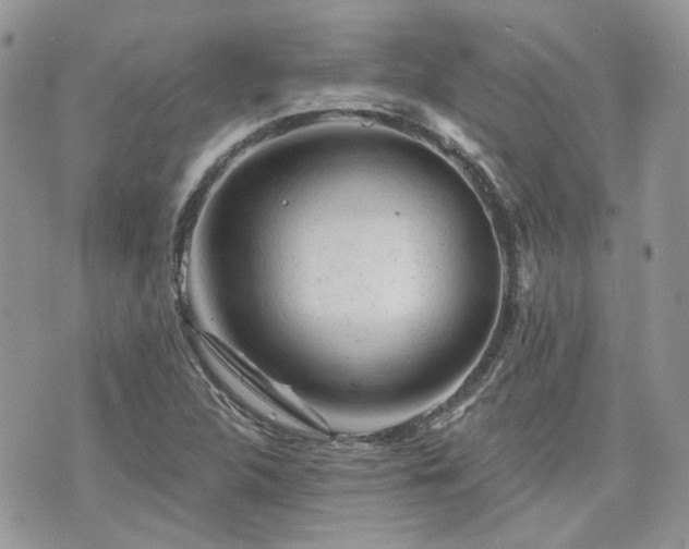 X0000076301312200609291025