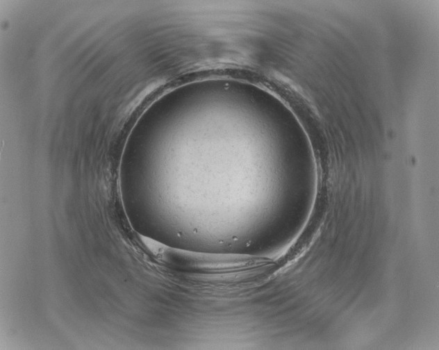 X0000076301313200609291025