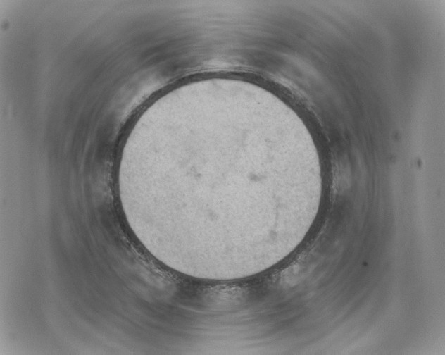 X0000076301314200609291025