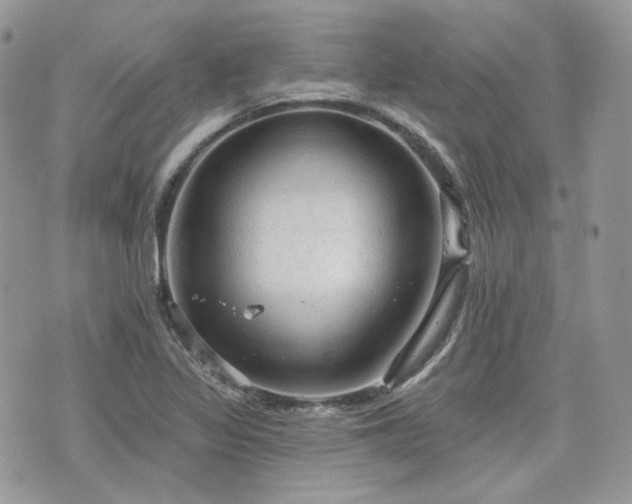 X0000076301317200609291025