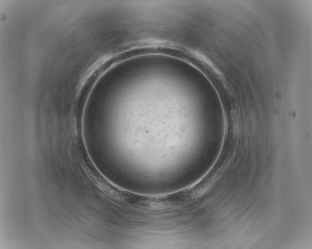 X0000076301318200609291025