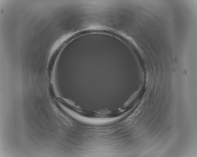 X0000076301319200609291025