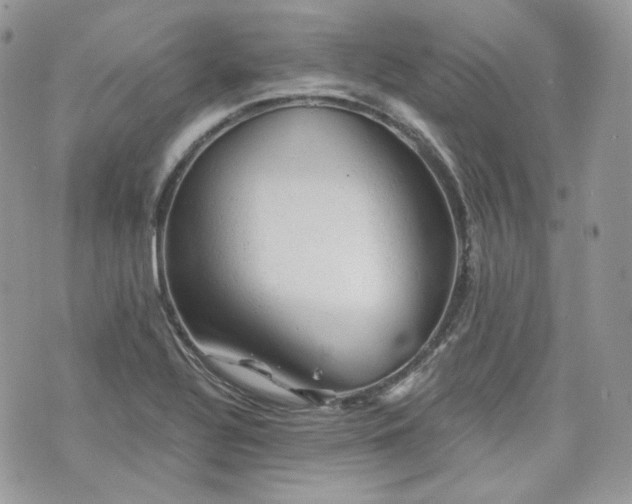 X0000076301320200609291025