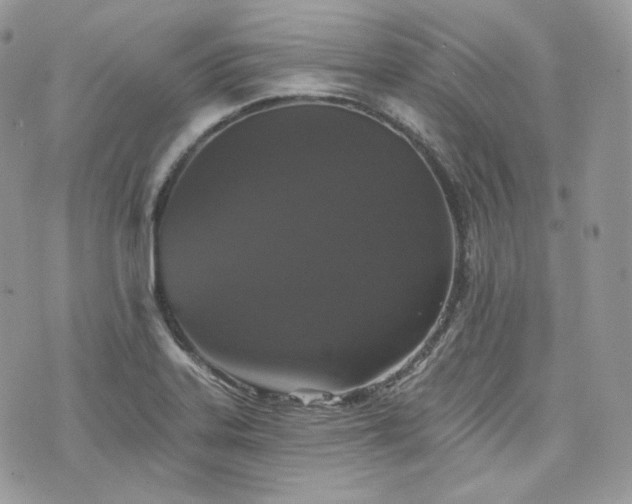 X0000076301323200609291026