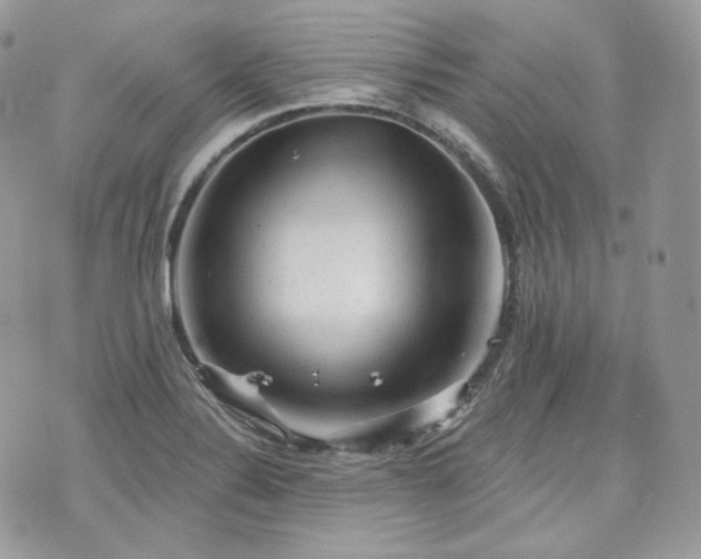 X0000076301324200609291026