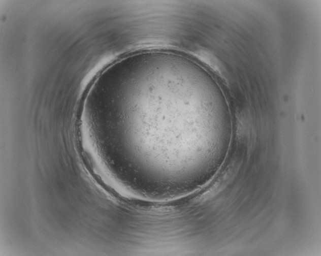 X0000076301325200609291026