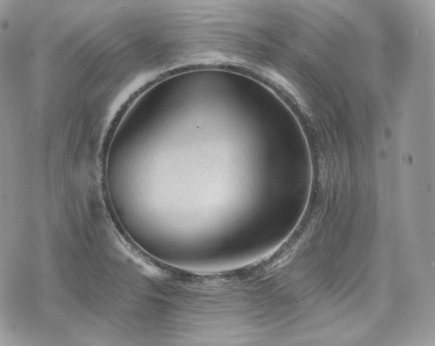 X0000076301326200609291026