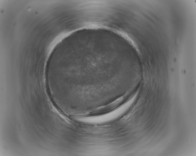 X0000076301327200609291026