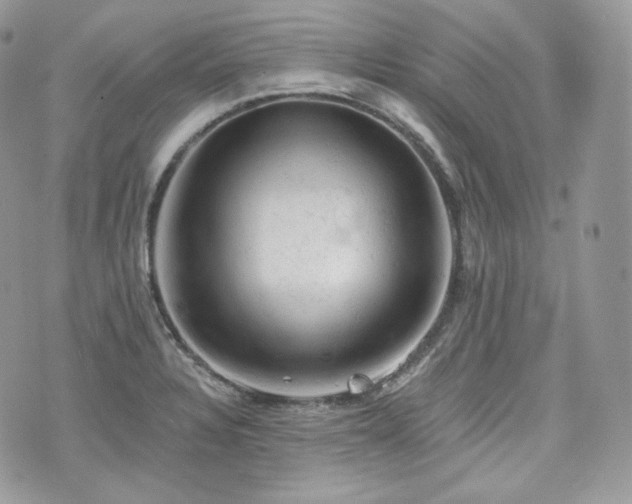 X0000076301328200609291026