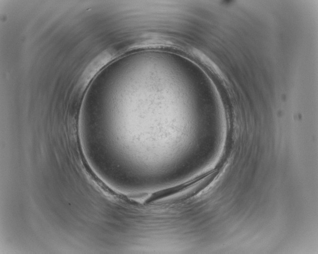 X0000076301329200609291026