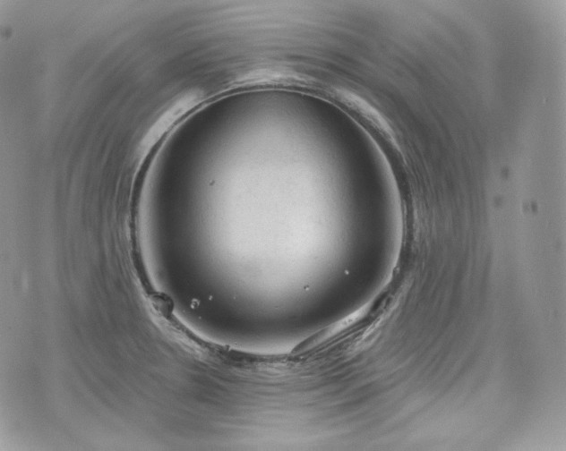 X0000076301330200609291026