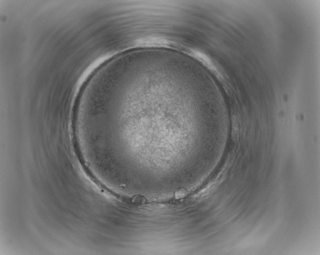 X0000076301331200609291026